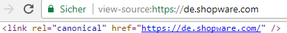 Canonical Tags für SEO im Shopware Shop