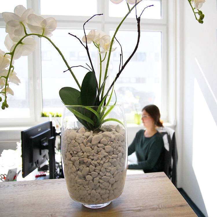 Arbeitsplatz bei der WEBneo Online Marketing Agentur