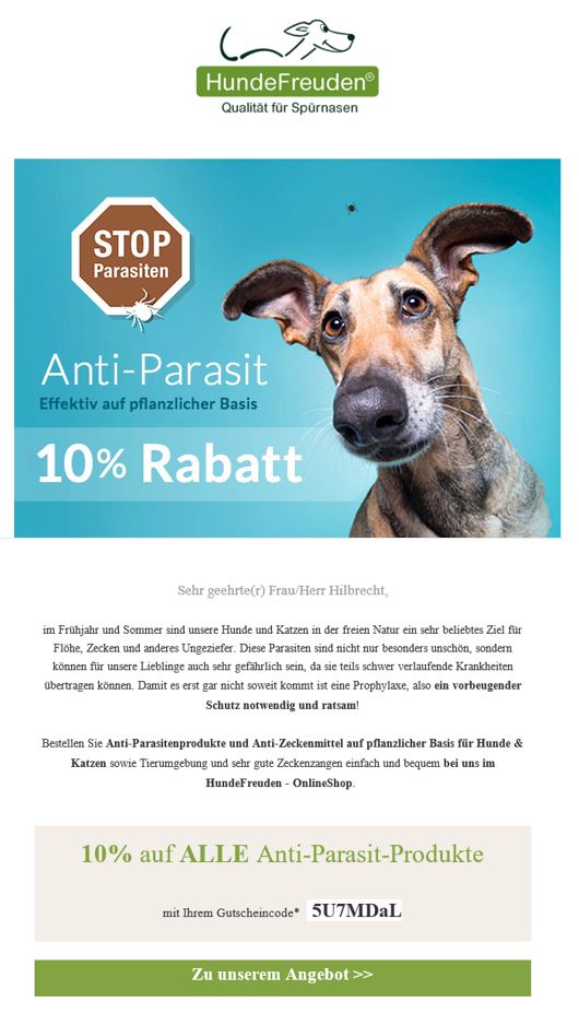 Newsletter Marketing für HundeFreuden