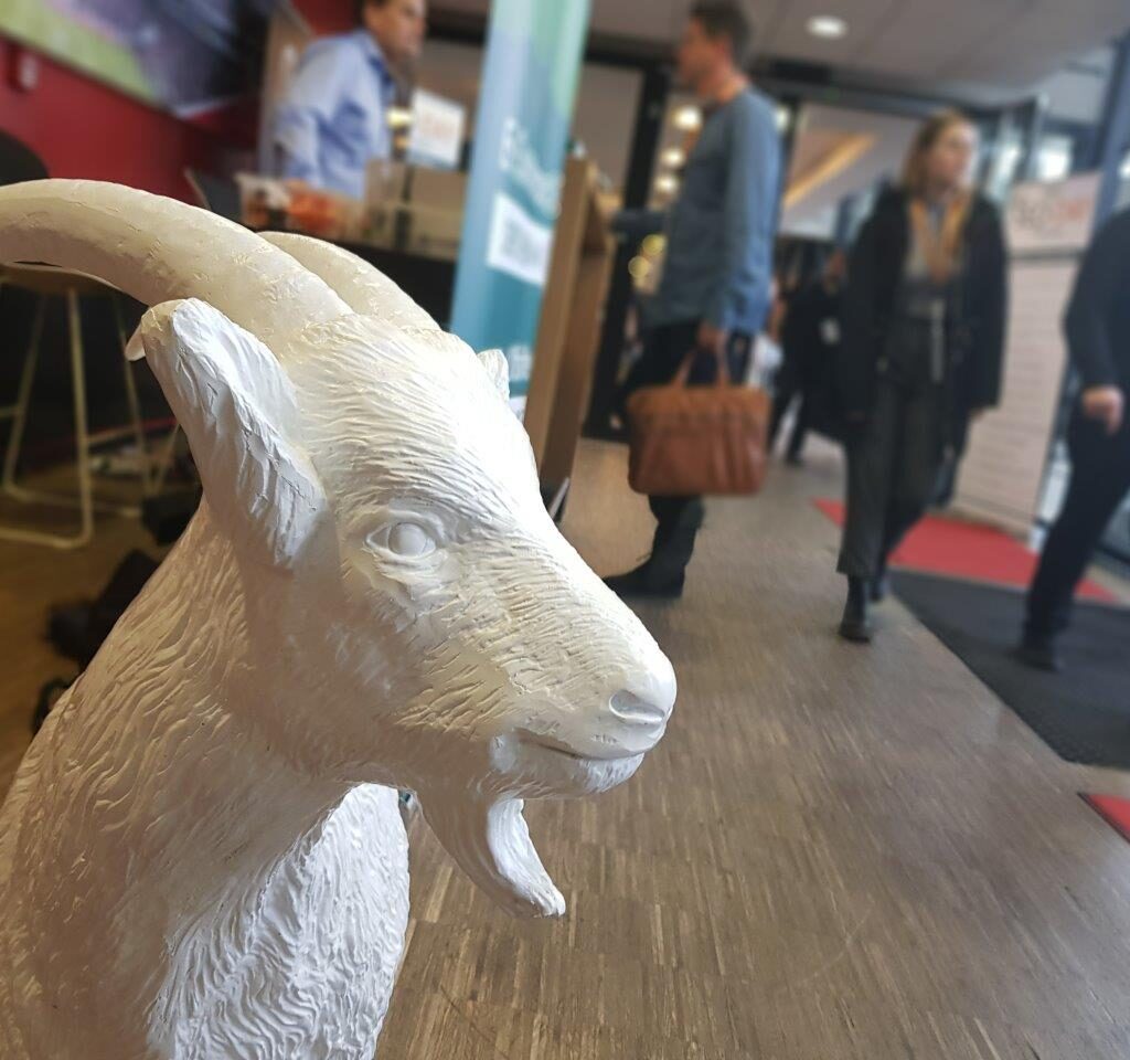 Ziege SEO Day 2019