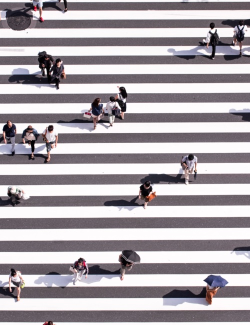 ryoji-iwata-n31JPLu8_Pw-unsplash