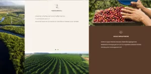 greencupcoffee - Storytelling einkaufswelten shopware