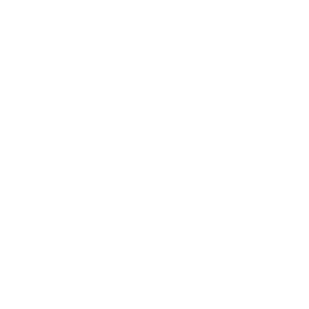 Silvio's Recap